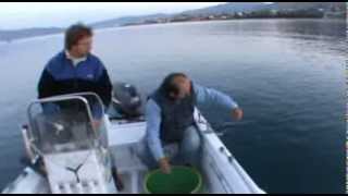 Ψιλό παραγάδι στα ρηχά για μουρμούρες - Striped sea bream fishing in Greece