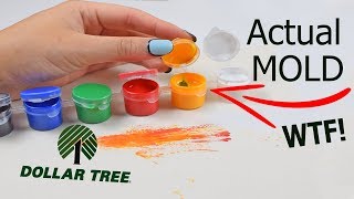 A TOTAL MESS...TESTING $1 DOLLAR TREE PAINT