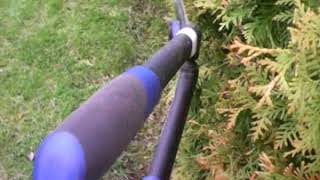 Весенняя обрезка туи заподной   2 часть