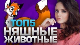 ТОП5 самых НЯШНЫХ ЖИВОТНЫХ