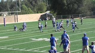 Folsom Jr Bulldogs Mighty Mites vs Del Oro