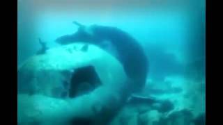 Упал Самолет Сочи   Сирия  Сводка  25122016