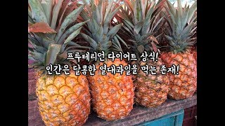 프루테리언 다이어트 상식! 인간은 열대과일을 먹는 존재! 과일식에 실패하는 이유? (매우 중요!)