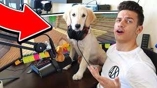 MY PUPPY PLAYS MINECRAFT! (WITH MOOSECRAFT)