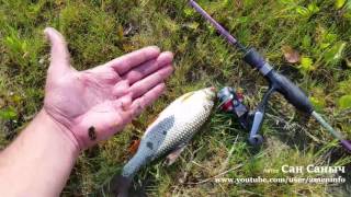 Крупная плотва или чебак на спиннинг, силикон Tipsy от Crazy fish