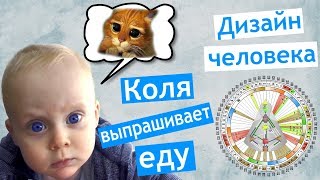 КОЛЯ просит ЕДУ ? ДИЗАЙН ЧЕЛОВЕКА от СВЕТЛАНЫ САЕНКО ? ВЫРОСЛИ КРИСТАЛЛЫ ? распаковка еды ? ХЖ