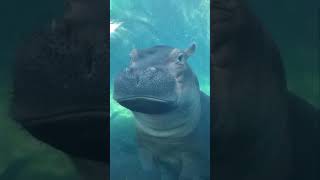 Hello Fiona!