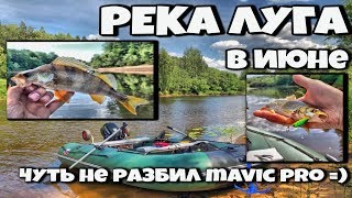 Рыбалка на реке Луга в июне по низкой воде, чуть не разбил по глупости mavic pro 27.06.2018