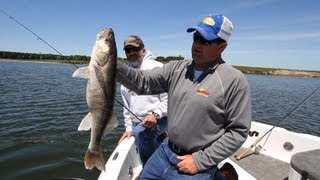 Cold Front Walleye Tactics