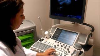 Tiroid Ultrosonu ve Tiroid Doppleri | Dr. Rengin TÜRKGÜLER