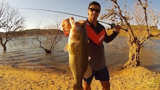 Pesca del Black Bass en arboles sumergidos | Superficie | HD