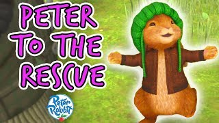 Peter Rabbit - Peter to the Rescue
