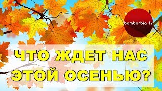 СЕНТЯБРЬ - время важных начинаний! Мария Волина - астропсихолог
