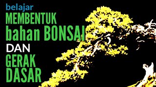 CARA MEMBENTUK BONSAI DARI GERAK DASAR