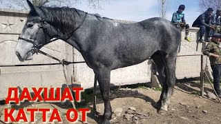 ДАХШАТ ӨЗГӨН.ҚИРҒИЗИСТОН.УЗГАН.МОЛ БОЗОРИ НАРХЛАРИ