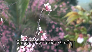 འབའ་རོམ་པའི་སྐྱེས་རབས་གསོལ་འདེབས