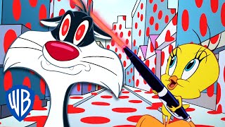 Looney Tunes in italiano ???????? | Il puntatore laser di Titti 