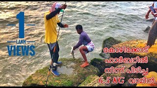 കോഴിക്കോട് ഹാർബറിൽ നിന്ന് പിടിച്ച 6.5 KG വാമീൻ |6.5 KG threadfin salmon fishing from Kerala