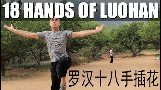 Shaolin Luohan 18 Hands Kung Fu Form Tutorial | Doug Swift Loves Kung Fu