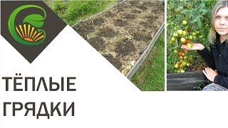 Теплая грядка на садовом участке