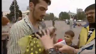 ТК Донбасс - Мопсы и самая маленькая овчарка