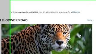 Tutorial plataforma MOODLE - MIL AULAS