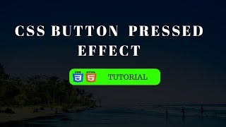 CSS button animation - Pressed Effect