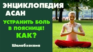КАК УСТРАНИТЬ БОЛЬ  В ПОЯСНИЦЕ С ПОМОЩЬЮ АСАН ЙОГИ | ЙОГА ДЛЯ НАЧИНАЮЩИХ