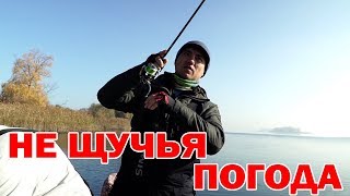 Ловля щуки в солнечную погоду  Джиг в ноябре! Часть 2