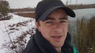 видео от подписчика (охотника-бобролова), установка капканов КП "на проход"