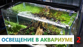 Аквариумные растения. 2 часть. Освещение в аквариуме. Как подобрать свет? Что такое спектр света