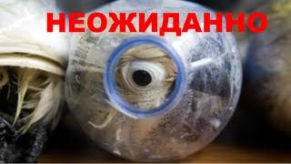 КОГДА ТАМОЖЕННИК ЗАГЛЯНУЛ В ПЛАСТИКОВУЮ БУТЫЛКУ ОН БЫЛ ШОКИРОВАН
