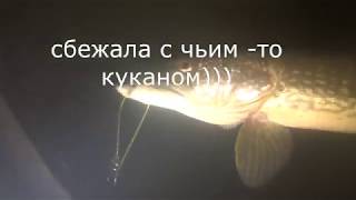 Подводная охота в Башкирии .река Белая.