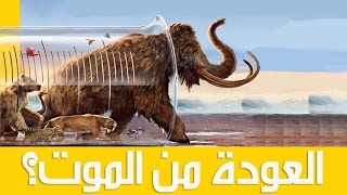 هل تعلم حيوانات منقرضة لم تكن تعلم بوجودها