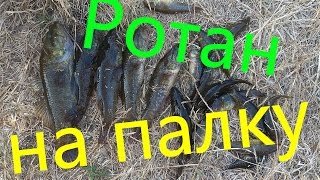 Ловля ротана ДРЕВНИМ СПОСОБОМ  Трофейный ротан!