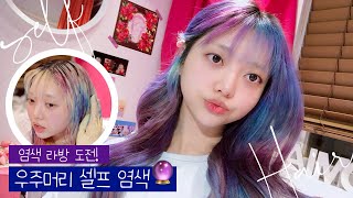 2020년 맞이! 같이 염색해요~ 파랑&보라 셀프염색 도저~언!?
