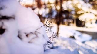 Nele Liis Vaiksoo ft. Reaalmažoor - Kurva talve laul