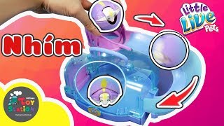 Pet NHÍM đồ chơi biết cuộn tròn thành banh, Little Live Pets Hedgehog - ToyStation 125