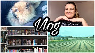vlog lecture | romance paranormale, book haul et makeup tutorial lol