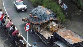 5 TERRIFYINGLY Large Creatures That Will Give You Chills!