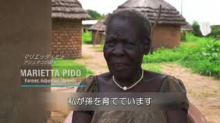 ウガンダ：農村世帯の土地保有を守る