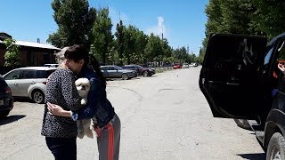 ПРОЩАЕМСЯ МАМА ПЛАЧЕТ/ПОГРАНИЧНИКИ В НАГЛУЮ ПРОСЯТ ДЕНЬГИ