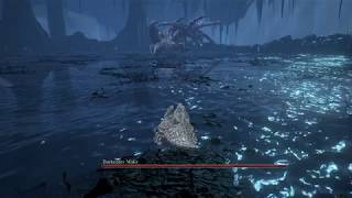Dark Souls 3 Stone Lizard vs Midir ... Most powerful creature vs Midir!