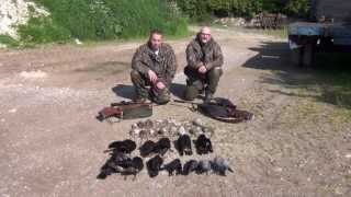 An evening and morning shoot with Si Pittaway & Davy Thomas
