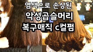 손상된 악성곱슬머리 복구매직 c컬 레시피 100% 공개 안보면 절대 후회