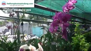 Tưới cây tưới nước tự động phun sương tưới lan thông minh giá rẻ tốt nhất