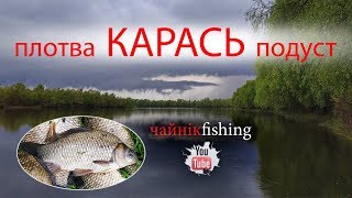 Полное видео. Десна, Боденьки. Рыбалка с ночевкой 7-8 мая 2019, крупный карась.