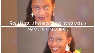 Ma routine shampoing pour cheveux abimés, secs et cassants