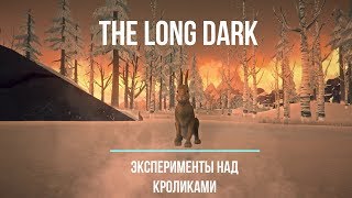 THE LONG DARK ЭКСПЕРИМЕНТЫ #5 | КАПКАН И КРОЛИК
