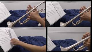 Attack On Titan Op 3 - Shinzou Wo Sasageyo (心臓を捧げよ!) Trumpet Cover